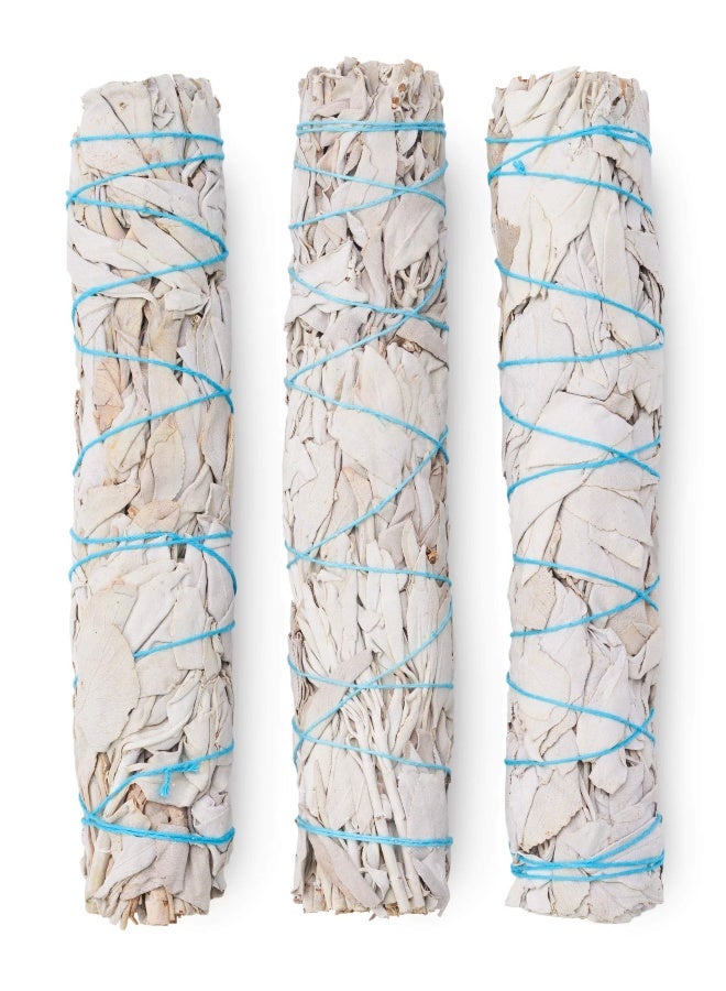 BLUE RIVER SAGE 9-Inch White Sage Smudge Sticks ~ Sustainably Harvested ~ for Smudging & Cleansing ~ Instructions Included (3 Pack) - Image 1